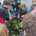 Projet Jardinage à l’école !